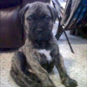 Meet your Posher, Candyce